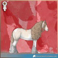 Horse Color:Perlino Dun Tobiano 