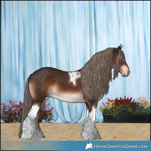 Horse Color:Liver Chestnut Tobiano 