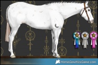 Horse Color:Chestnut Sabino