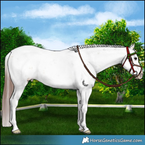 Horse Color:Chocolate Buckskin Sabino 