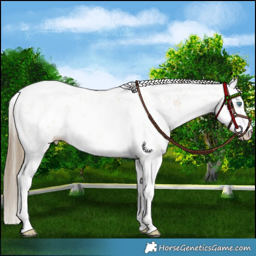 Horse Color:Chocolate Smoky Grullo Pearl Sabino 