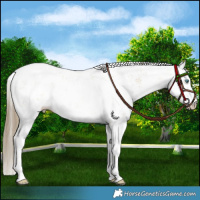 Horse Color:Chocolate Smoky Grullo Pearl Sabino