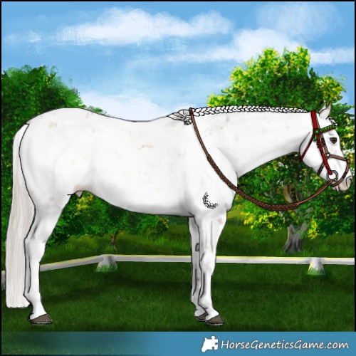 Horse Color:Chocolate Silver Buckskin Dun Sabino