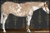 Horse Color:Chocolate Silver Smoky Grullo Sabino