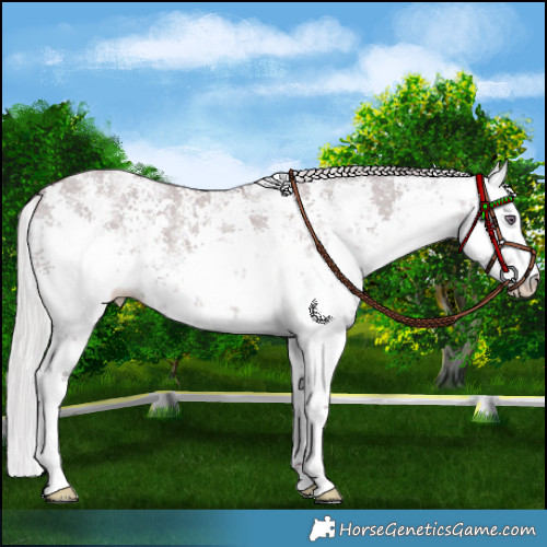 Horse Color:White Spotted Chocolate Silver Grullo Chinchilla Sabino 