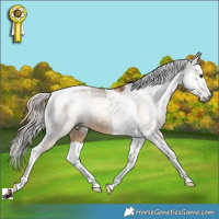 Horse Color:Gray Red Dun Tobiano