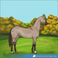 Horse Color:Liver Red Dun 