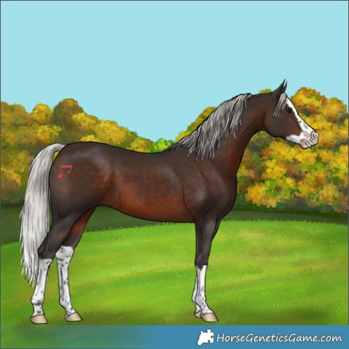Horse Color:Silver Brown Splash 