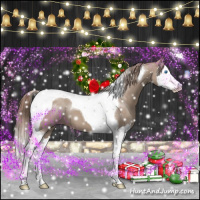 Horse Color:Liver Red Dun Splash Tobiano 