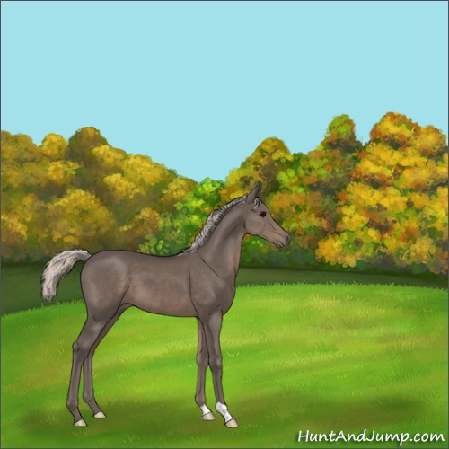 Horse Color:Silver Black 