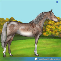 Horse Color:Silver Brown Dun Mushroom Tobiano Brindle