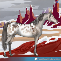 Horse Color:White Spotted Brown Dun Appaloosa 
