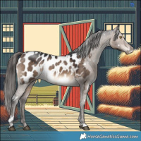 Horse Color:White Spotted Brown Dun Blanket 