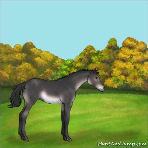 Horse Color:Platinum Brown Rabicano 