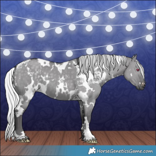 Horse Color:White Spotted Silver Smoky Grullo Chinchilla 