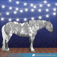 Horse Color:White Spotted Silver Smoky Grullo Chinchilla