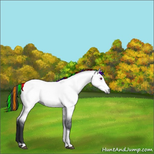 Horse Color:Painted Bay Chinchilla Dun Tobiano 
