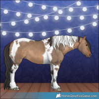 Horse Color:Brown Dun Tobiano 