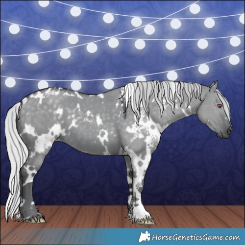 Horse Color:White Spotted Silver Grullo Chinchilla 