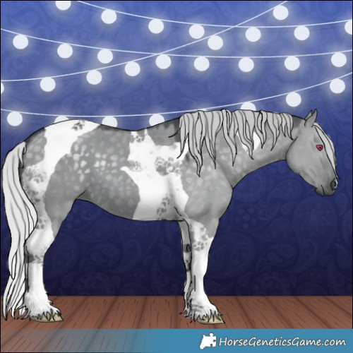Horse Color:Silver Grullo Chinchilla Tobiano 