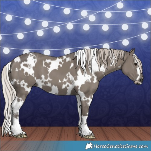 Horse Color:White Spotted Silver Grullo 