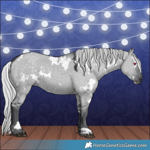 Horse Color:White Spotted Silver Grullo Chinchilla 