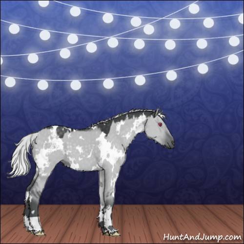 Horse Color:White Spotted Silver Grullo Chinchilla 