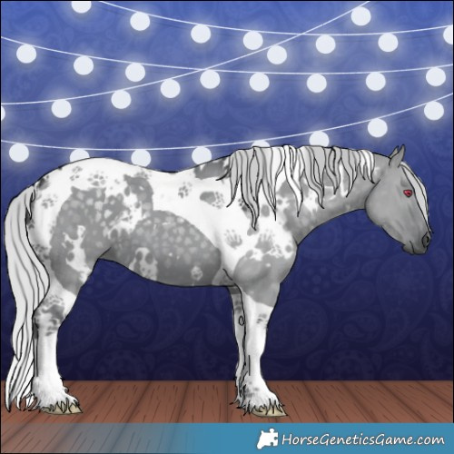 Horse Color:White Spotted Silver Grullo Chinchilla Tobiano 