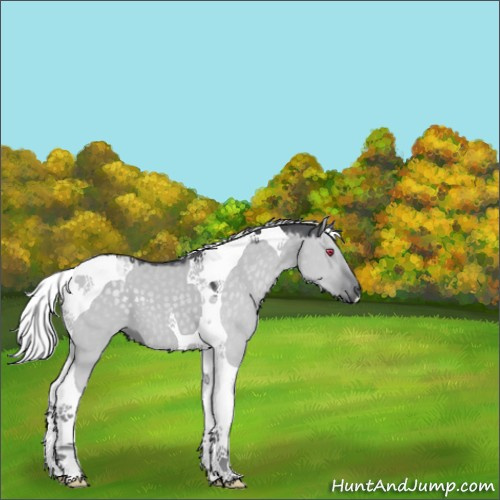 Horse Color:Silver Grullo Chinchilla Tobiano 