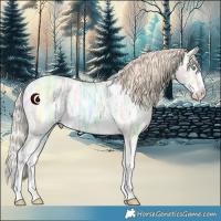 Horse Color:White Spotted Perlino Ice Dun Splash 