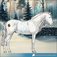 Horse Color:White Spotted Perlino Ice Dun Splash