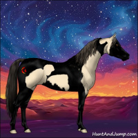 Horse Color:Void Buckskin Dun Splash Tobiano