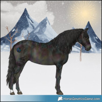 Horse Color:Midnight Bay Ice Onyx 
