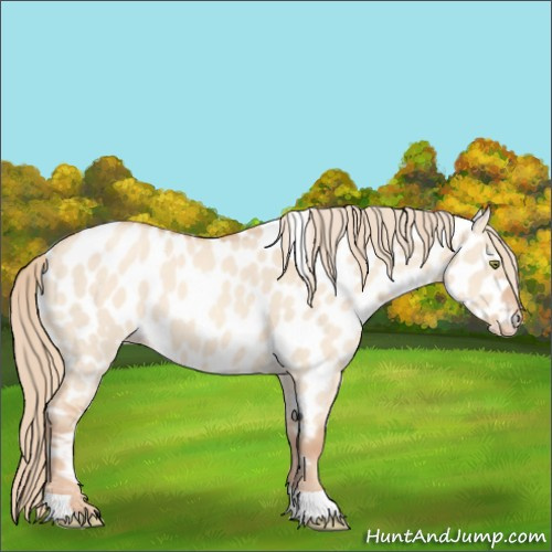 Horse Color:Gold Champagne Dun Tobiano Appaloosa Rabicano