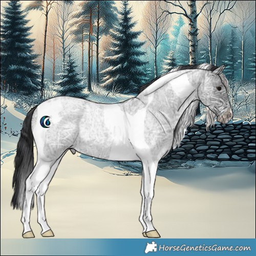 Horse Color:Blue Ice Roan Tobiano 