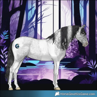 Horse Color:Blue Ice Roan Tobiano 