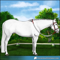 Horse Color:Gray White Spotted Black Varnish and Gray White Spotted Black Varnish