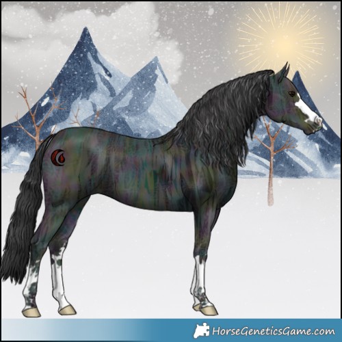Horse Color:Midnight Black Ice