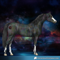 Horse Color:Midnight Black Ice