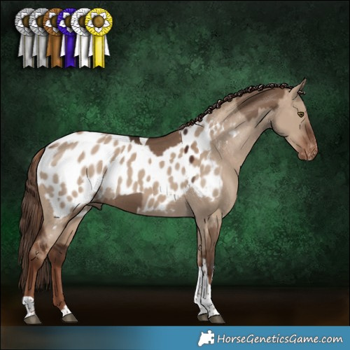 Horse Color:Liver Red Dun Tobiano and Liver Red Dun Tobiano Blanket