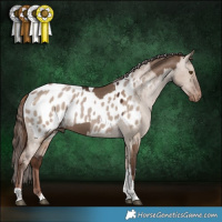 Horse Color:Liver Red Dun Tobiano  and Liver Red Dun Tobiano Appaloosa 
