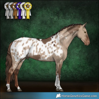 Horse Color:Liver Red Dun Tobiano  and Liver Red Dun Tobiano Blanket 
