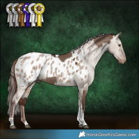 Horse Color:Liver Red Dun Tobiano  and Liver Red Dun Tobiano Appaloosa 