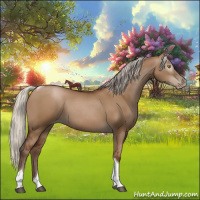 Horse Color:Gray Silver Grullo Pearl Tobiano 