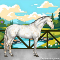 Horse Color:Palomino Dun Near Leopard  and Cremello Dun Near Leopard 