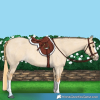 Horse Color:Red Dun Roan Splash Frame Rabicano 