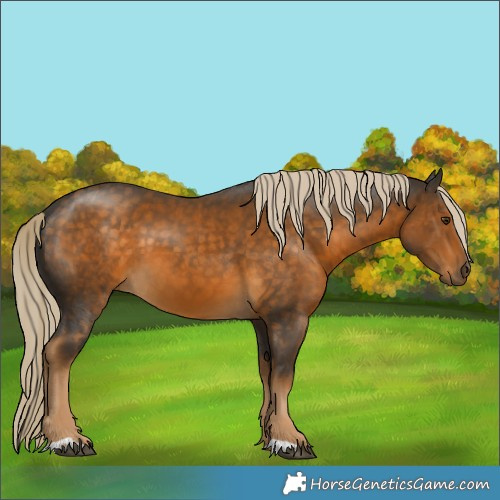 Horse Color:Chocolate Palomino 
