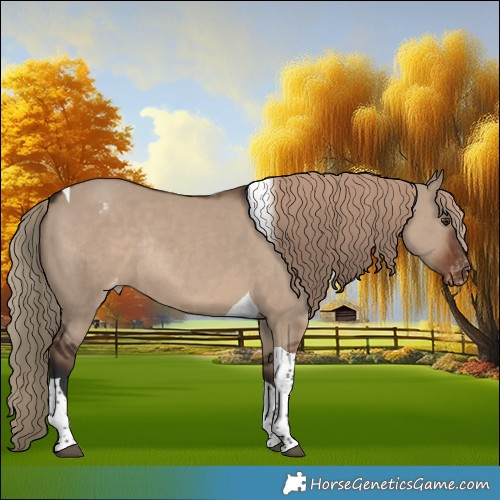 Horse Color:Liver Red Dun Tobiano Appaloosa Rabicano 