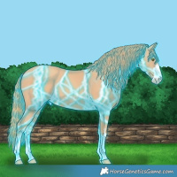 Horse Color:Thunderstruck Gold Champagne 