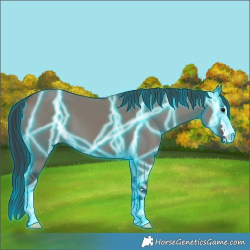 Horse Color:Thunderstruck Grullo 